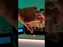 Sudvision Cb17 Maquina Contadora De Billete Doble Bandeja Impresora Termica Profesional
