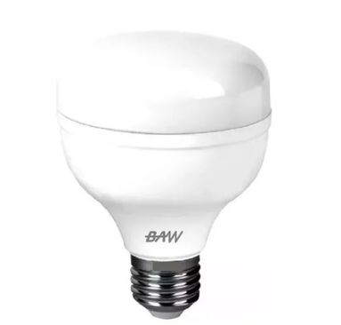 BAW T100L30F - LED ALTA POTENCIA 30W 220V E27 6500K BLANCO FRIO GALPONERA