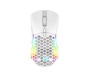 Solarmax Mouse Gamer Rgb Usb Blanco Gm06W