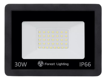 [8369] FOREST LIGHTING REFLECTOR LED 30W LUZ FRIA 6500K