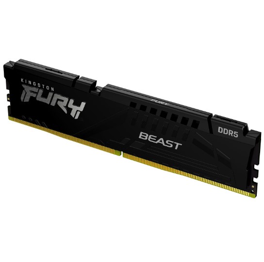 KINGSTON Memoria RAM DDR5 16Gb 5600 MHz FURY BEAST