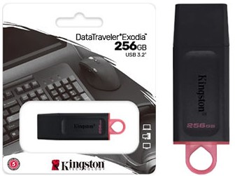 [11118] Kingston Exodia Pendrive 256Gb Dtx Usb 3.2