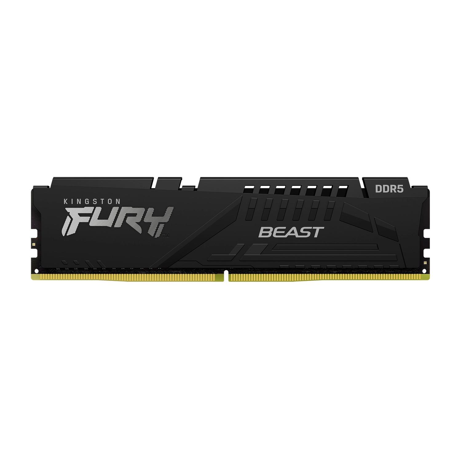 [KFUMEM556C4016G] Memoria PC Fury DDR5 16GB 5600 Beast Negra